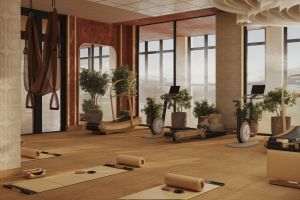 Sursa foto: www.ihgplc.com